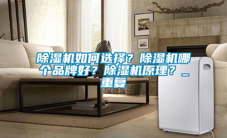 除濕機(jī)如何選擇？除濕機(jī)哪個(gè)品牌好？除濕機(jī)原理？_重復(fù)