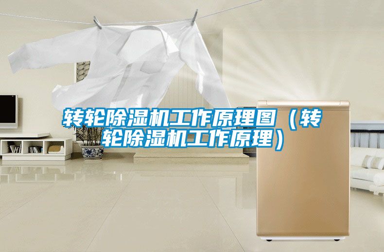 轉(zhuǎn)輪除濕機工作原理圖(轉(zhuǎn)輪除濕機工作原理)