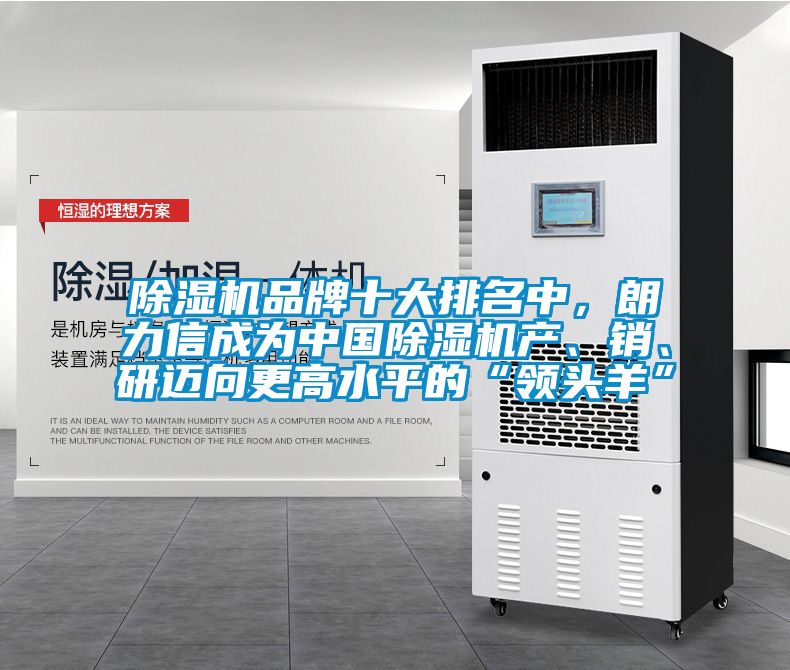 除濕機品牌十大排名中,朗力信成為中國除濕機產(chǎn)、銷、研邁向更高水平的“領頭羊”