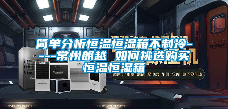 簡(jiǎn)單分析恒溫恒濕箱不制冷----常州朗越 如何挑選購(gòu)買恒溫恒濕箱