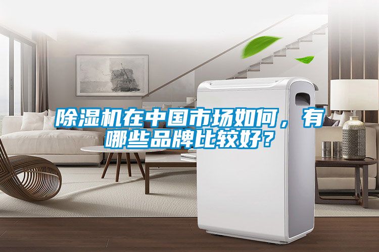 除濕機在中國市場如何，有哪些品牌比較好？