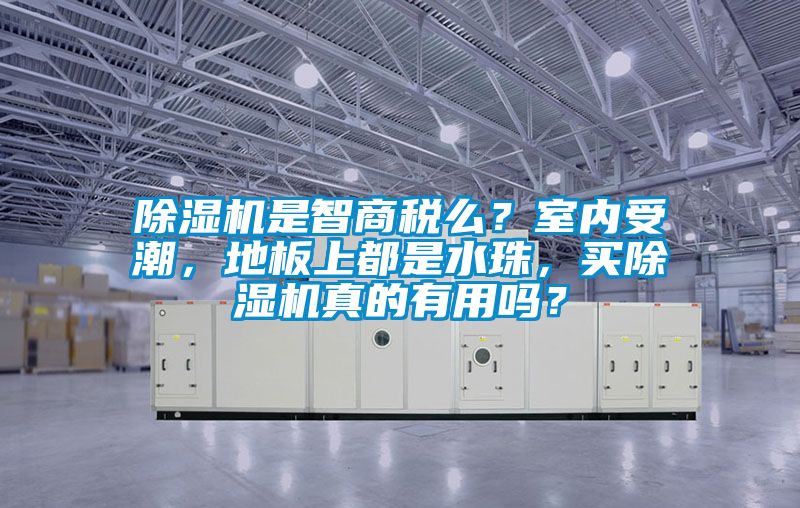 除濕機(jī)是智商稅么？室內(nèi)受潮，地板上都是水珠，買(mǎi)除濕機(jī)真的有用嗎？