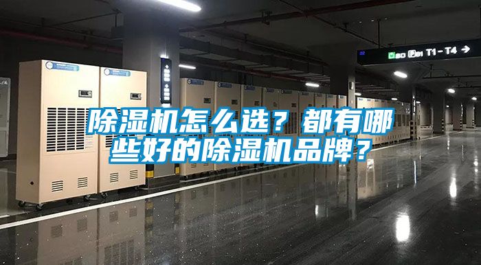 除濕機怎么選？都有哪些好的除濕機品牌？