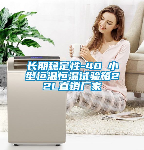 長期穩定性-40℃小型恒溫恒濕試驗箱22L直銷廠家