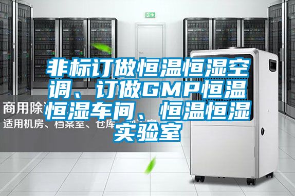 非標訂做恒溫恒濕空調、訂做GMP恒溫恒濕車間、恒溫恒濕實驗室