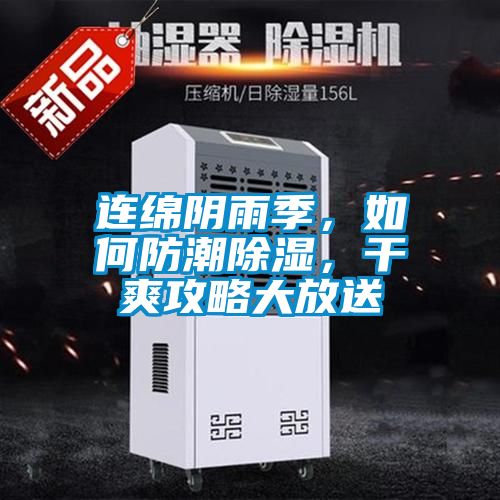 連綿陰雨季，如何防潮除濕，干爽攻略大放送