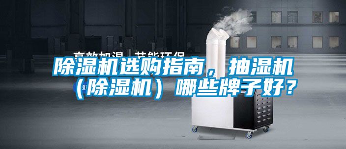 除濕機選購指南，抽濕機（除濕機）哪些牌子好？