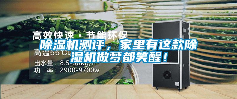 除濕機(jī)測評,家里有這款除濕機(jī)做夢都笑醒!