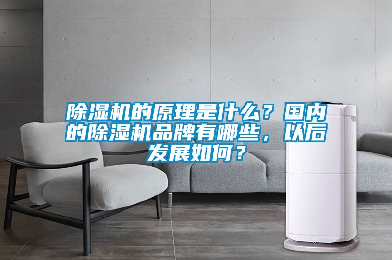 除濕機的原理是什么?國內(nèi)的除濕機品牌有哪些,以后發(fā)展如何?