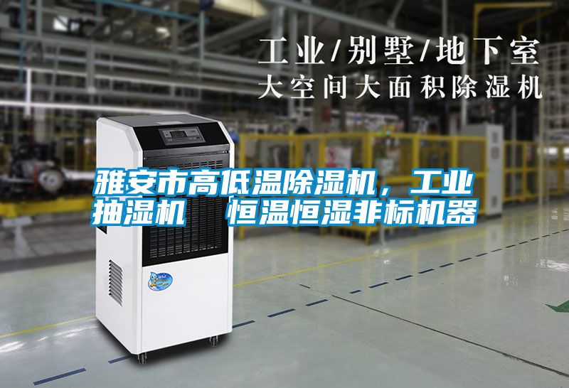 雅安市高低溫除濕機，工業抽濕機  恒溫恒濕非標機器
