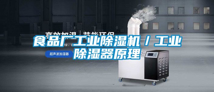 食品廠工業(yè)除濕機(jī)/工業(yè)除濕器原理
