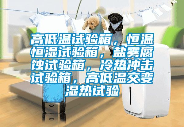 高低溫試驗箱,恒溫恒濕試驗箱,鹽霧腐蝕試驗箱,冷熱沖擊試驗箱,高低溫交變濕熱試驗