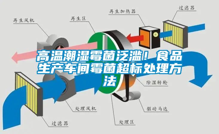 高溫潮濕霉菌泛濫！食品生產(chǎn)車間霉菌超標(biāo)處理方法