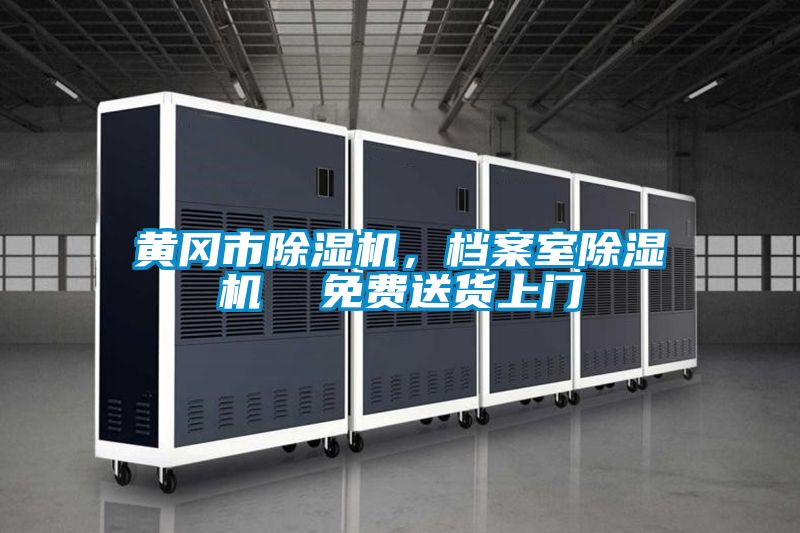 黃岡市除濕機,檔案室除濕機 免費送貨上門